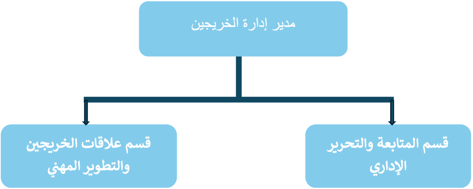 صورة الهيكل التنظيمي